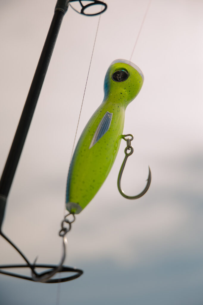 Mag Bay Fishing trips