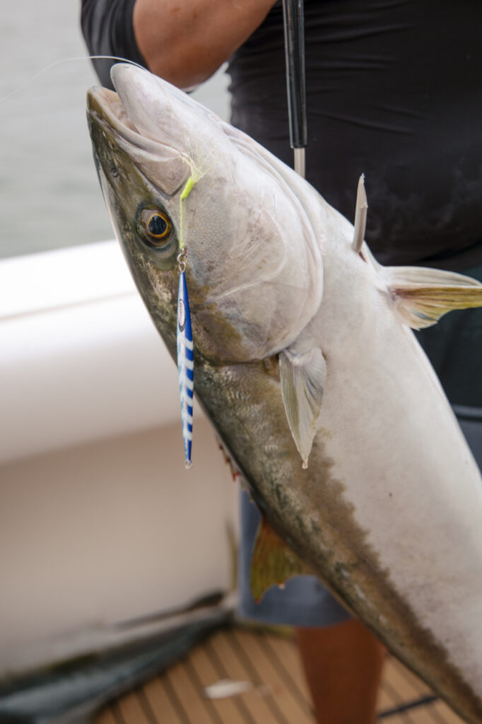 Mag Bay Fishing trips